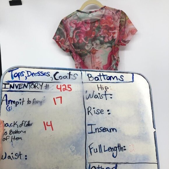 Fashion Nova Serenade me pink sheer crop top drawstring sides Small angels - Picture 14 of 16